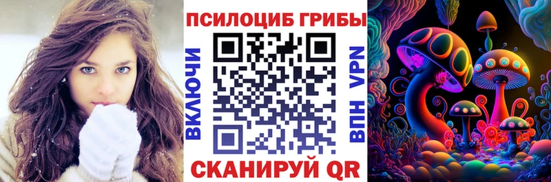 Псилоцибиновые грибы Psilocybine cubensis мега ТОР Покачи наркошоп